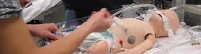 Simulation Simulation