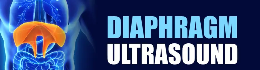 Diapgragm Ultrasound Diapgragm Ultrasound
